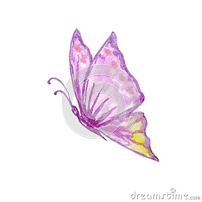 Watercolor purple butterfly with yellow spots Stock Photo