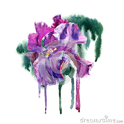 Watercolor purple flower. Stock Photo