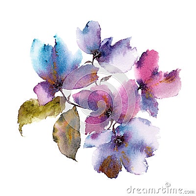 Watercolor purple flowers. Autumn florals. Floral background. Autumn floral design. Floral greeting card. Stock Photo