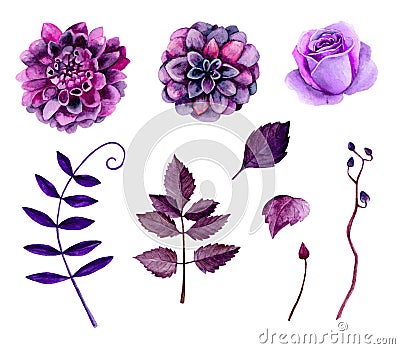 Watercolor purple flowers vector Vector Illustration