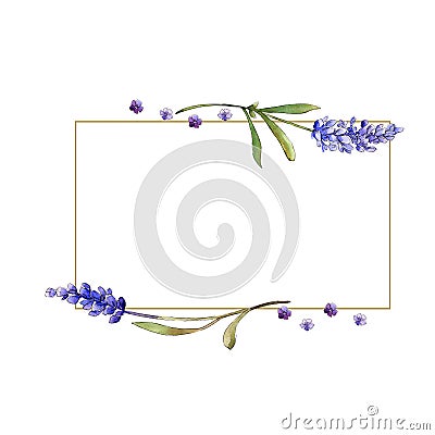 Watercolor purple lavender flowers. Floral botanical flower. Frame border ornament square. Stock Photo