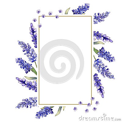 Watercolor purple lavender flowers. Floral botanical flower. Frame border ornament square. Stock Photo