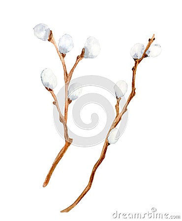 Watercolor pussy willow branches set. Hand drawn wooden sticks for card, invitation. Spring Easter decoration Stock Photo