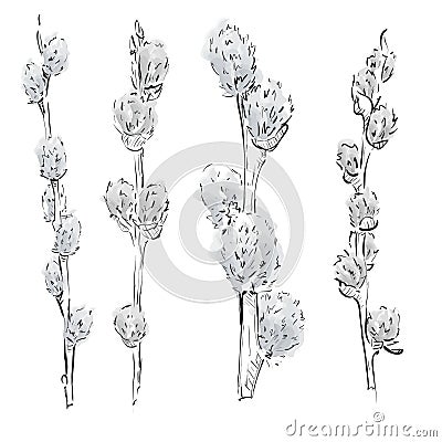 Watercolor pussy-willow set. Spring branches. Easter decorations Stock Photo