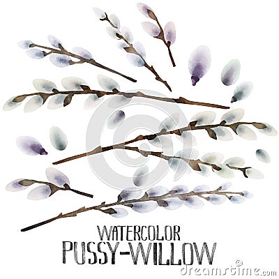 Watercolor pussy-willow set Vector Illustration