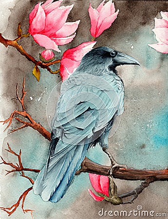 Watercolor raven on the magnolia branches Stock Photo