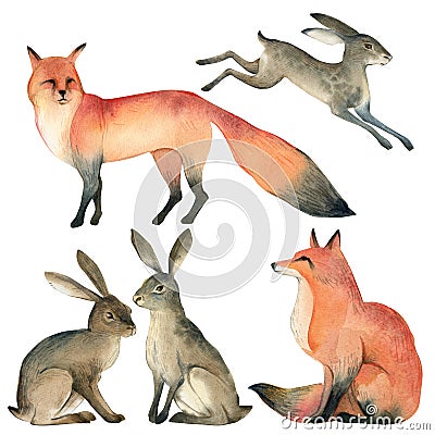 Watercolor realistic forest animal sketch. red fox, rabbit, hare Cartoon Illustration