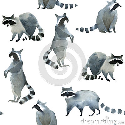 Watercolor realistic forest animal sketch. Seamles pattern about many of raccoons Stock Photo