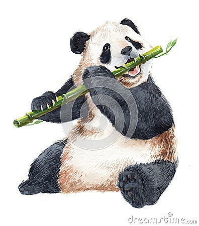 Watercolor realistic panda baby animal isolated Cartoon Illustration