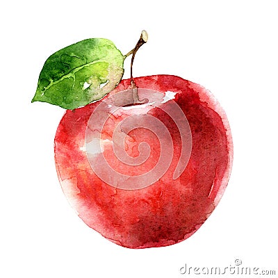 Watercolor red apple isolated on white background Cartoon Illustration