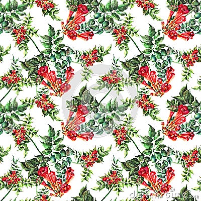 Watercolor red Campsis on white background. Floral seamless pattern. Stock Photo