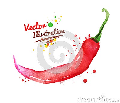 Watercolor red chili pepper Vector Illustration