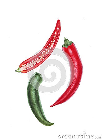 Watercolor red and green peppers on white background Stock Photo