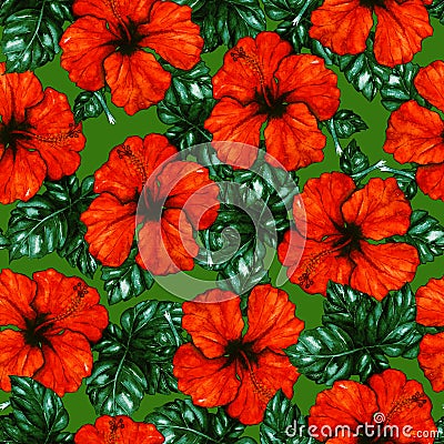 Watercolor red hibiscus karkade tropical exotic flower plant seamless pattern Stock Photo