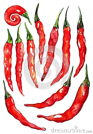 Watercolor red hot chili chilli spicy pepper set isolated Stock Photo