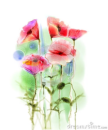 Watercolor red poppy flowers painting. Stock Photo