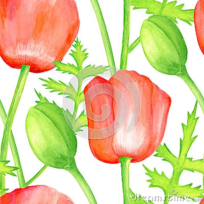 Watercolor red Poppy seamless pattern. Hand drawn botanical Papaver flower, poppy bud and leaf illustration isolated on white Cartoon Illustration