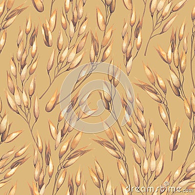 Watercolor repeated seamless pattern of cereals, oats. Stock Photo