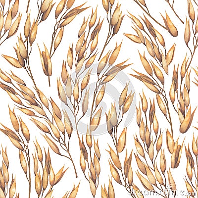 Watercolor repeated seamless pattern of cereals, oats. Stock Photo