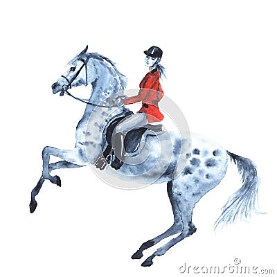 Watercolor rider and dapple grey horse on white. Cartoon Illustration