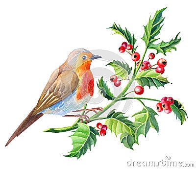 Watercolor Robin bird.Watercolour Merry Christmas card.New Year illustration Cartoon Illustration