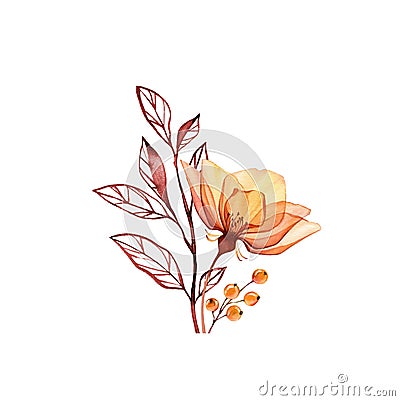 Watercolor Rose bouquet. Transparent orange flower with branch and berries isolated on white. Hand painted vintage Cartoon Illustration