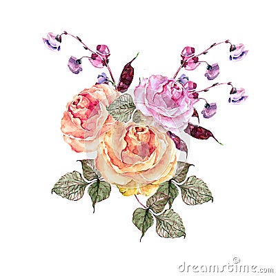 Watercolor rose with a flower haricot. Hand painted bouquet on a white background. Cartoon Illustration