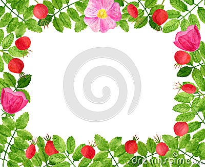 Watercolor rose hips, flowers, green leaves rectangular frame. Hand drawn floral template for poster, invitation, greeting cards, Stock Photo