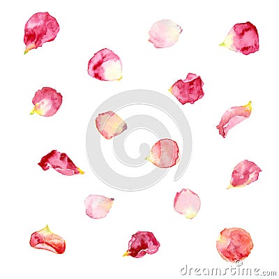 Watercolor rose petals. Stock Photo