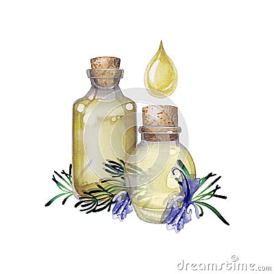 Watercolor rosemary oil Stock Photo