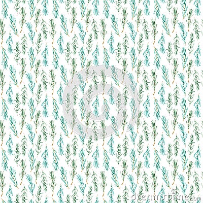 Watercolor Rosemary pattern seamless, green rosemary decoration, craft label design bio food Stock Photo