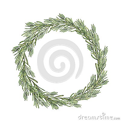 Watercolor rosemary wreath. Hand painted rosemary branch isolated on white background. Floral botanical border for Stock Photo