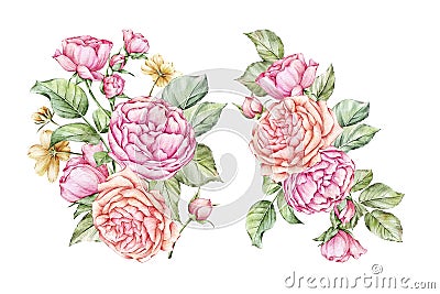 Watercolor_Roses_Bouquets Stock Photo