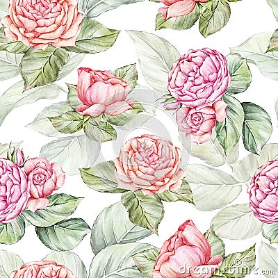Watercolor Roses Floral Seamless Pattern Stock Photo