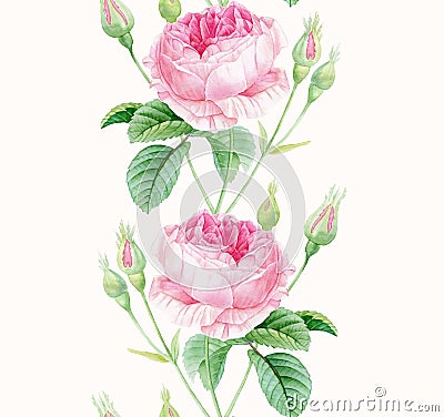 Watercolor Roses seamless border. Vintage vertical floral decoration. Botanical hand drawn illustration. Colourful Cartoon Illustration