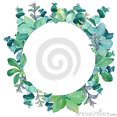 Watercolor round frame of eucalyptus, decorative nettle, mint Stock Photo