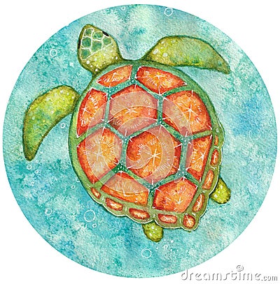 Watercolor round illustration of see turtle from above Cartoon Illustration