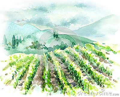 Watercolor Rural Scene with Hills, Vineyard and Trees Stock Photo