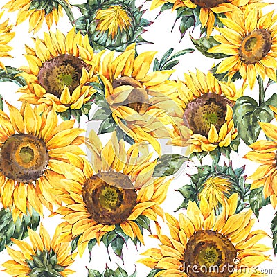 Watercolor rustic seamless pattern, farmhouse sunflower wildflowers Stock Photo