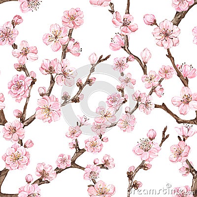 Watercolor sakura seamless pattern. Watercolor cherry blossom print, pink flowers on branches Cartoon Illustration