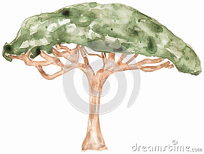 Watercolor Savannah tree illustration, Acacia Tree in Savannah, African clip art, tropical florals Cartoon Illustration