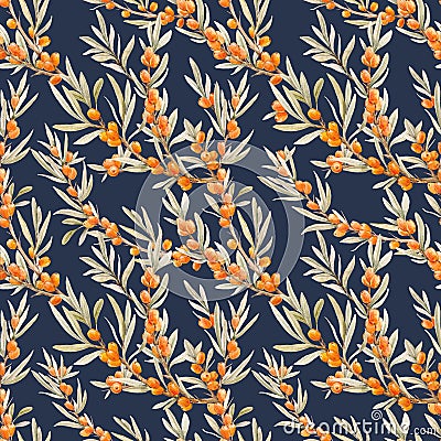 Watercolor sea buckthorn pattern Stock Photo