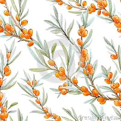 Watercolor sea buckthorn vector pattern Vector Illustration