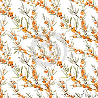 Watercolor sea buckthorn vector pattern Vector Illustration