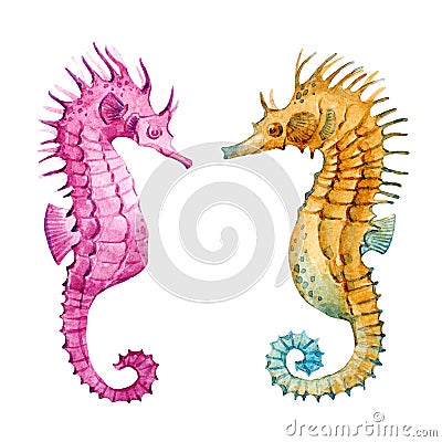 Watercolor sea horse set Stock Photo