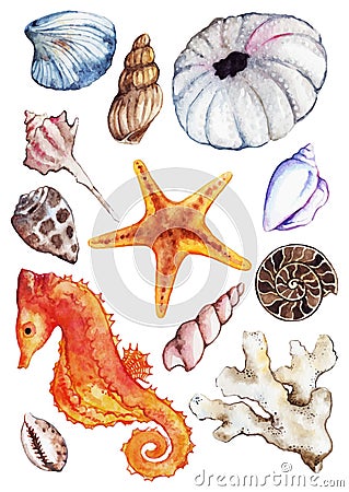 Watercolor sea ocean seahorse seashell coral ammonit urchin set vector Vector Illustration