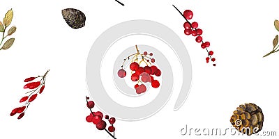 Watercolor seamless background, pattern with winter, New Year`s decor: twigs and bunches of cones, red berries on a white Stock Photo