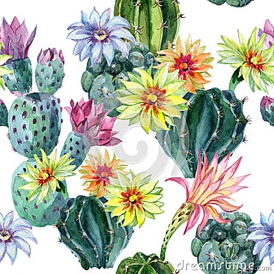 Watercolor seamless cactus pattern Cartoon Illustration