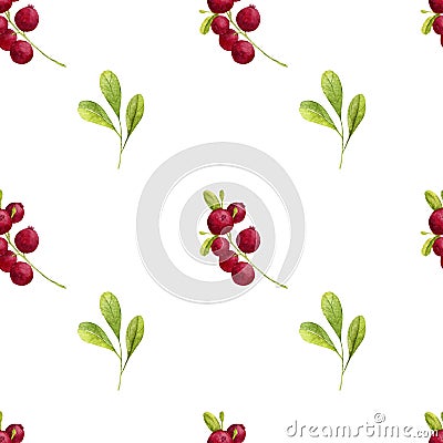 Watercolor seamless Cranberry Pattern Stock Photo