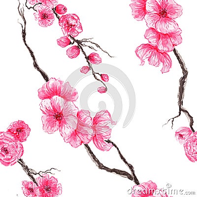 Watercolor seamless pattern beautiful bouquets with sakura spring bloom Stock Photo